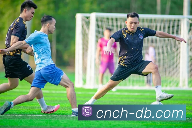 DB真人官网服务体系